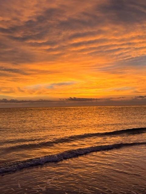 Hiddengem In Charming Sarasota, Florida Βίλα Εξωτερικό φωτογραφία