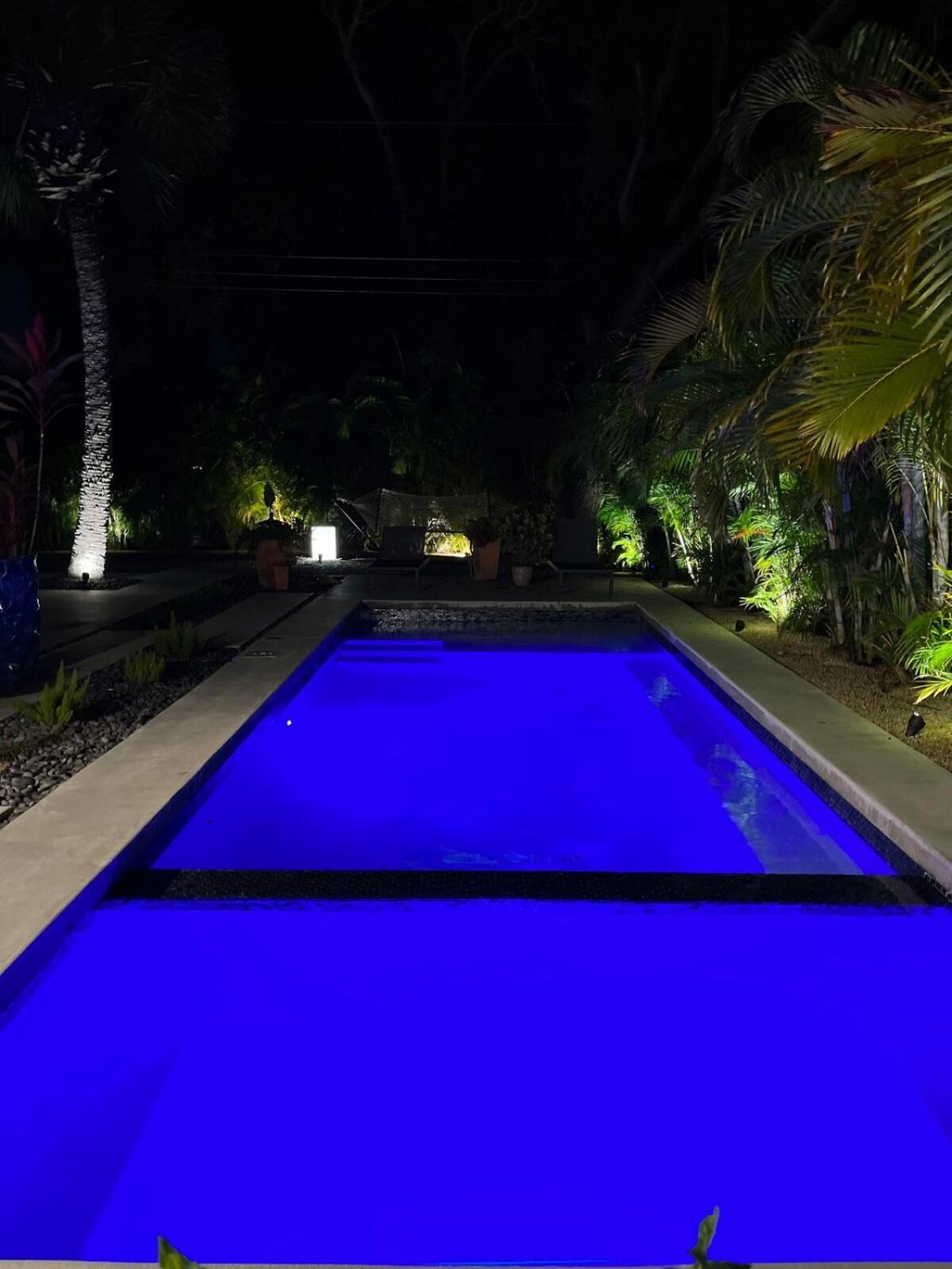 Hiddengem In Charming Sarasota, Florida Βίλα Εξωτερικό φωτογραφία